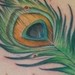 Tattoos - Peacock Feather - 37643